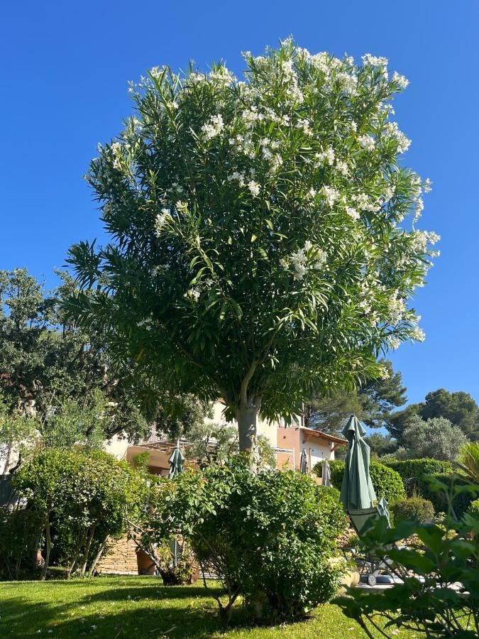 Le Clos Serein Le Beausset Luaran gambar